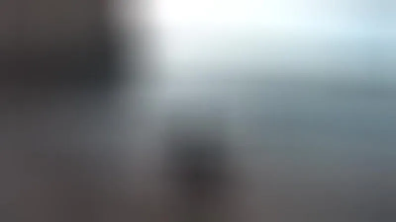 Artista BrutusK Video 1