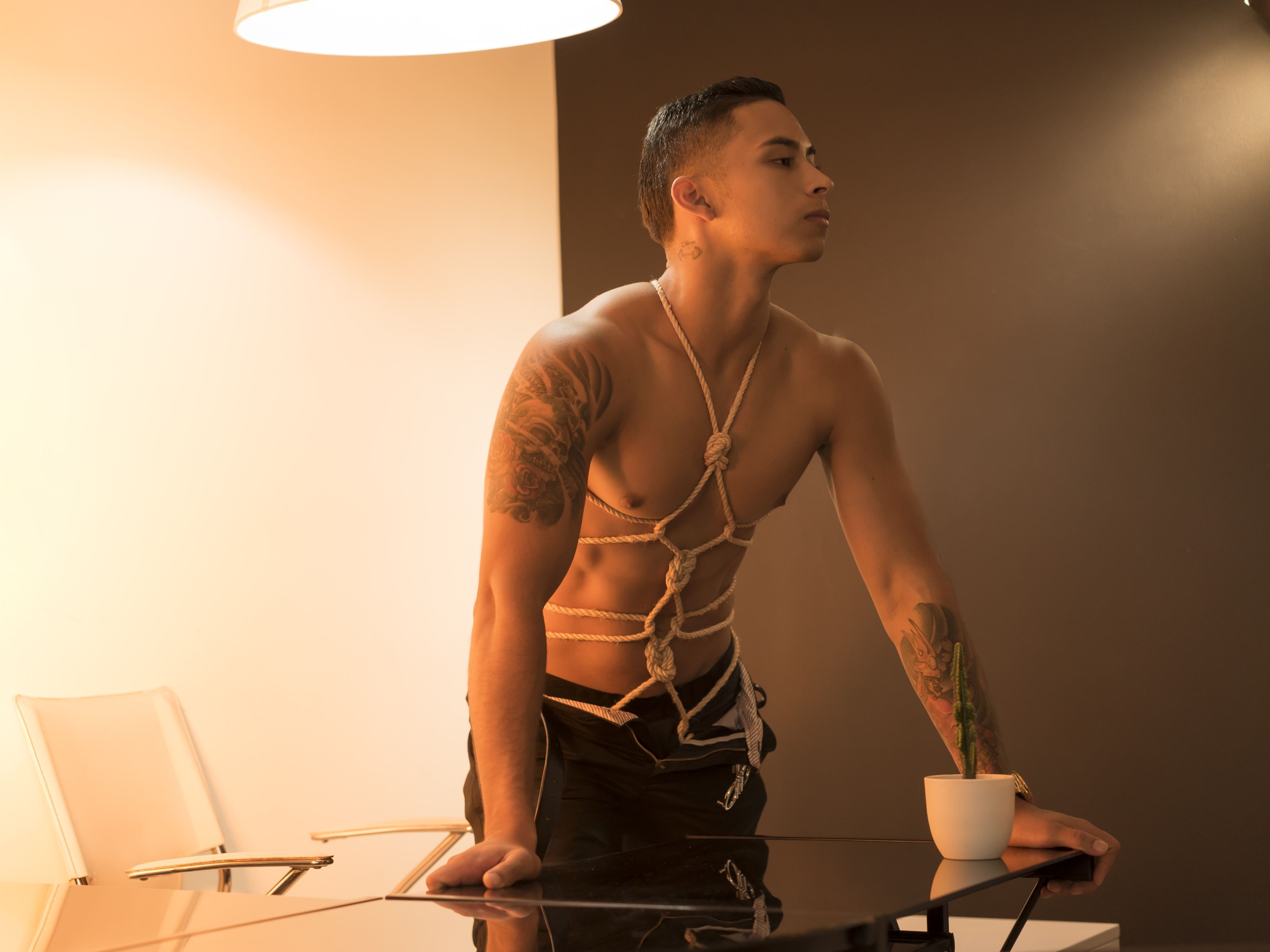 BrandonFlex Profilbild des Cam-Modells 