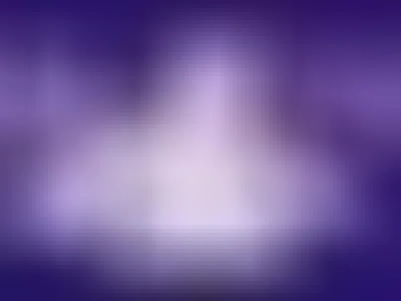 Performer PlatinumPuzzy Video 1
