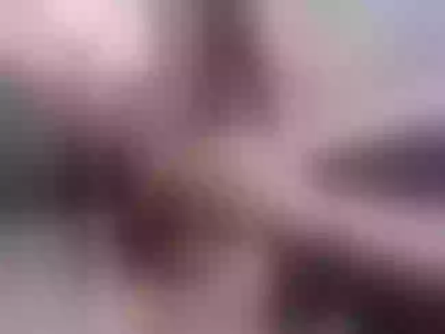 Briiggite immagine del profilo del modello di cam