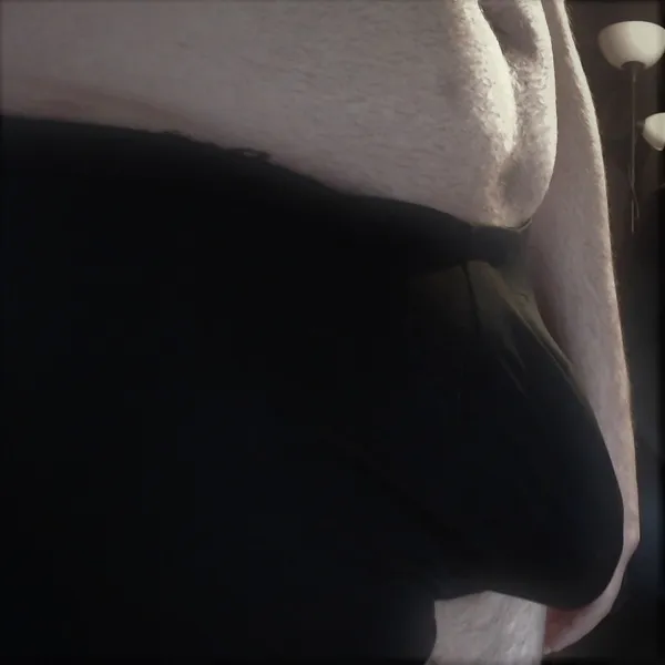 Interprete HunterLargo Foto 1