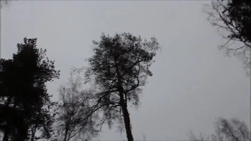 Utøver STEPMOMMYNEXTDOOR Video 2