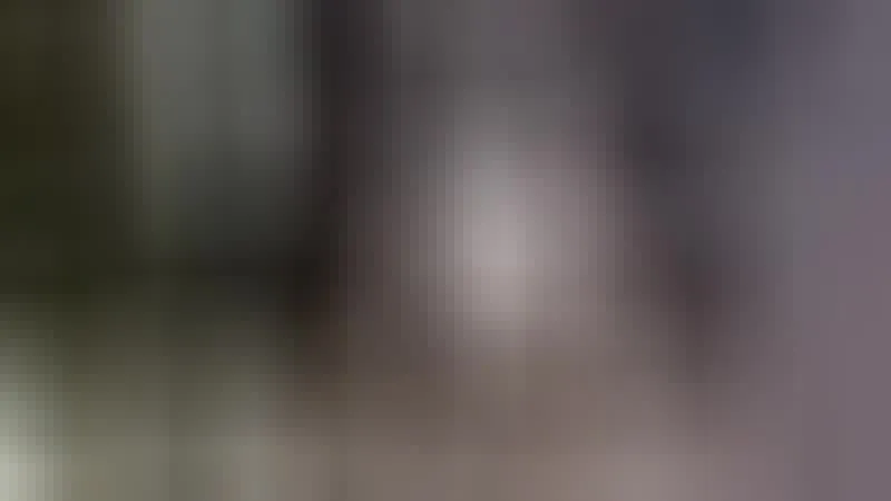 Interprète PumaShy Vidéo 2