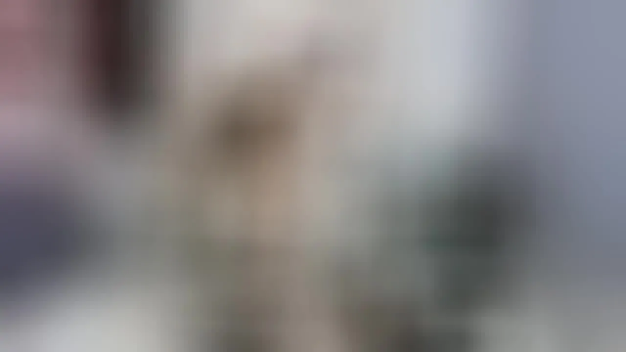 Artist JessyUnknown Video 4