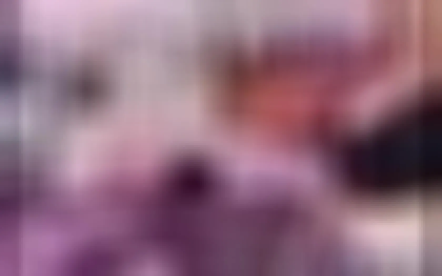 Artist CameoRae Video 1