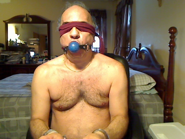 Interprete Cocksman Foto 11