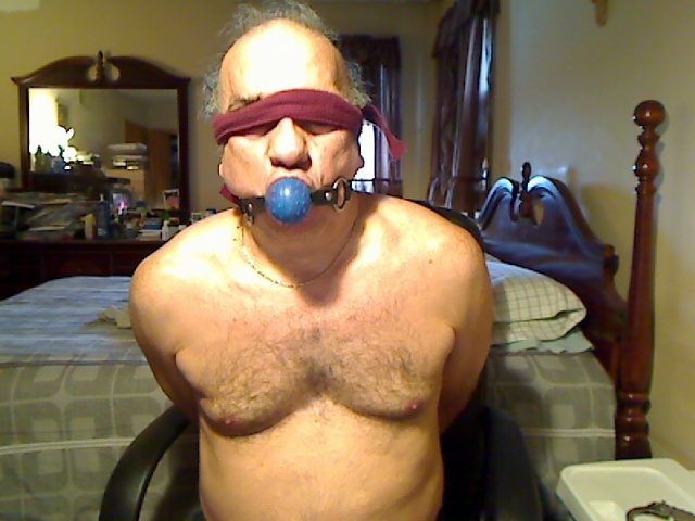 Interprete Cocksman Foto 9