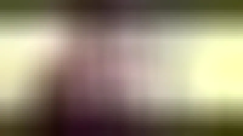 Artist Libely Video 2