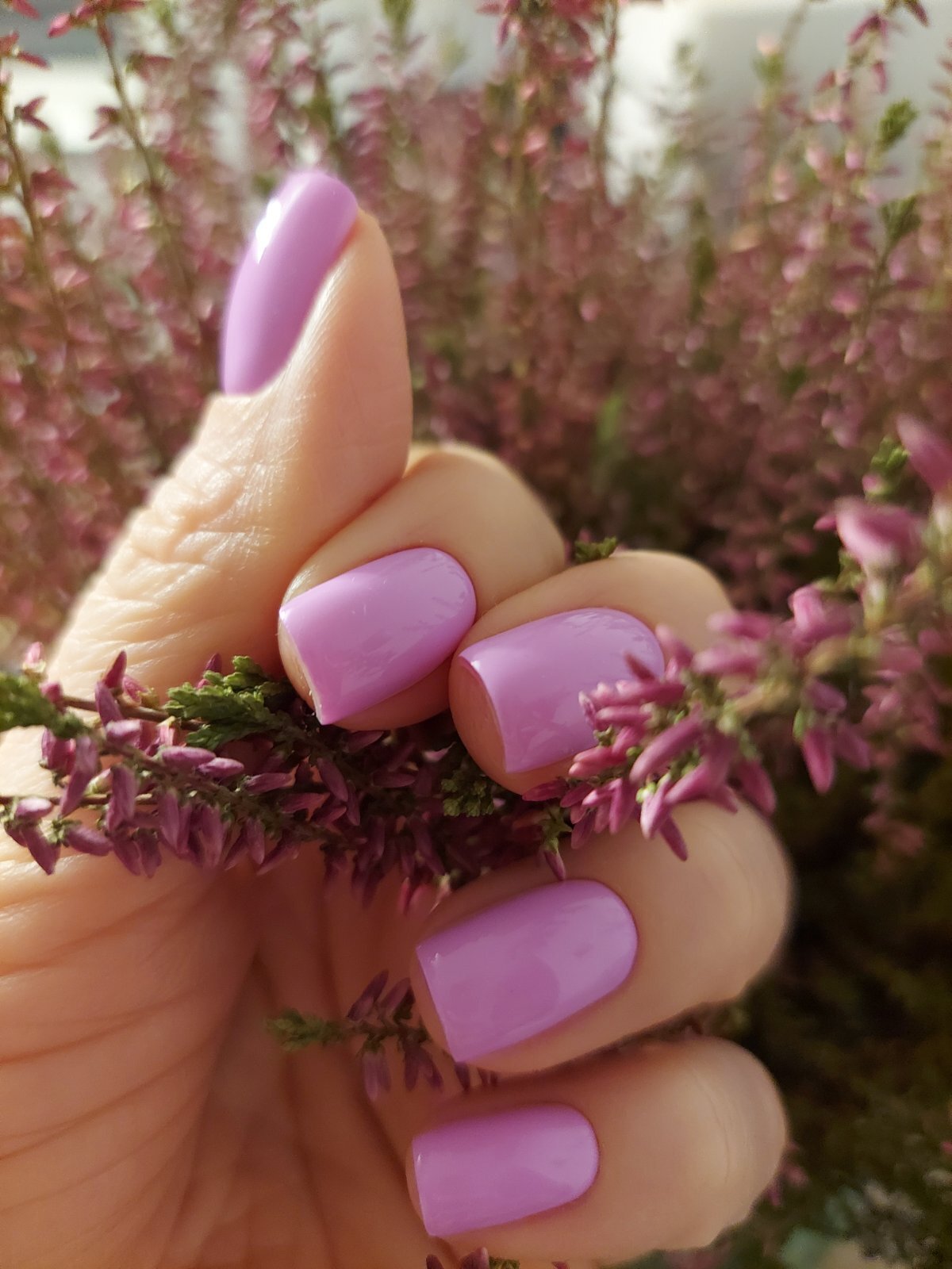 Artista XxSweety_GirlxX Foto 11