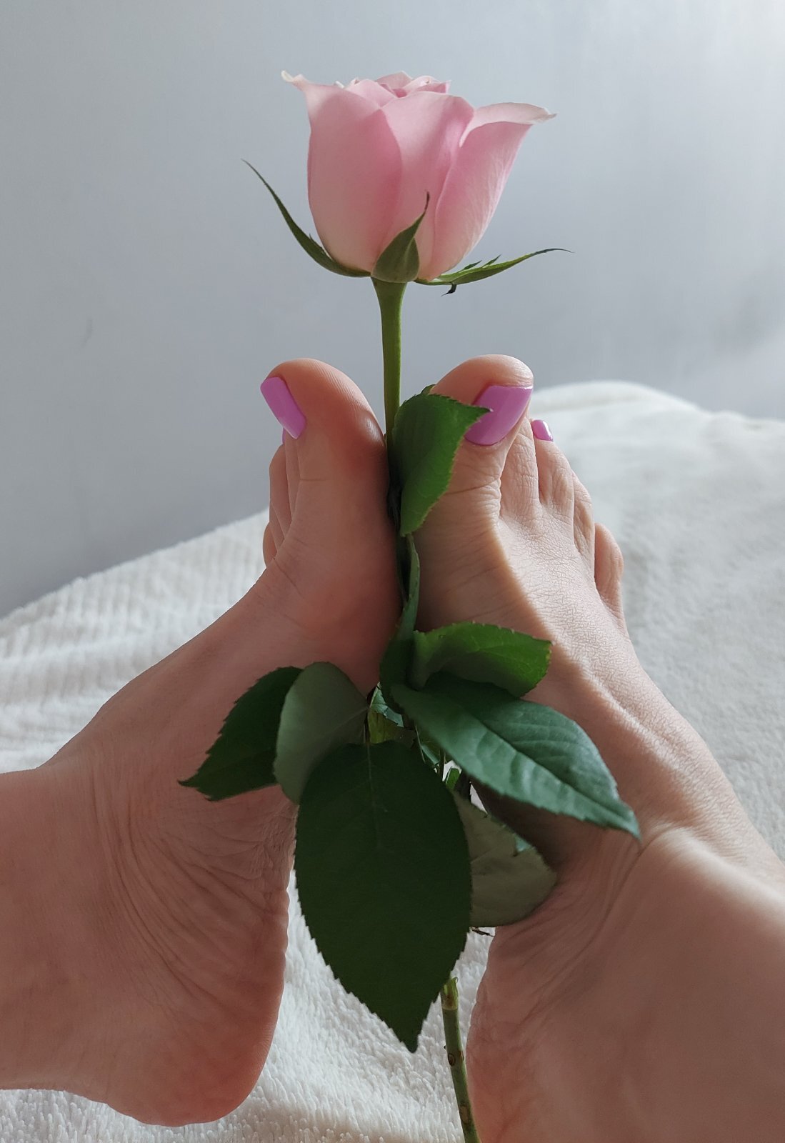 Artista XxSweety_GirlxX Foto 10