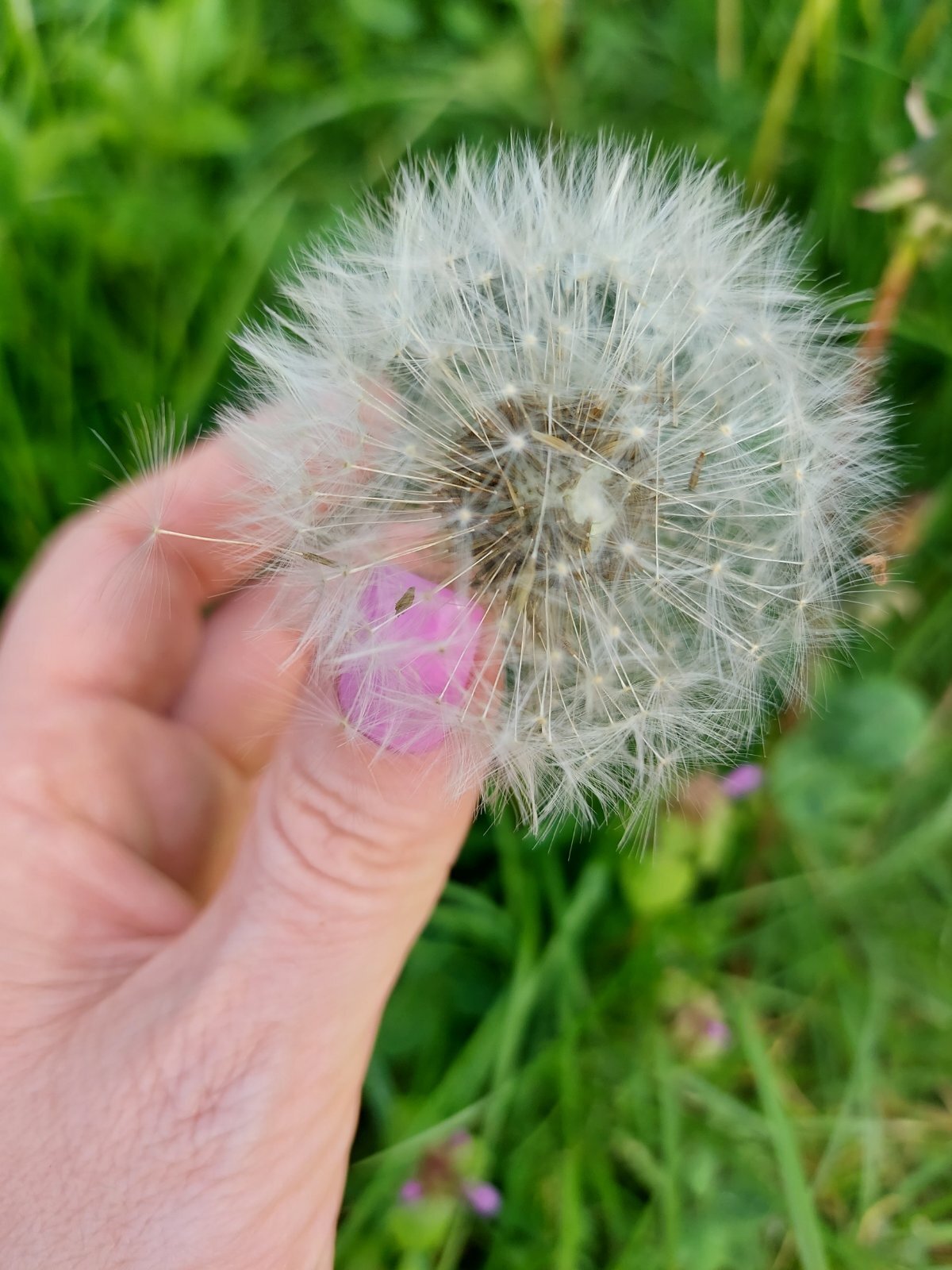 Artista XxSweety_GirlxX Foto 7