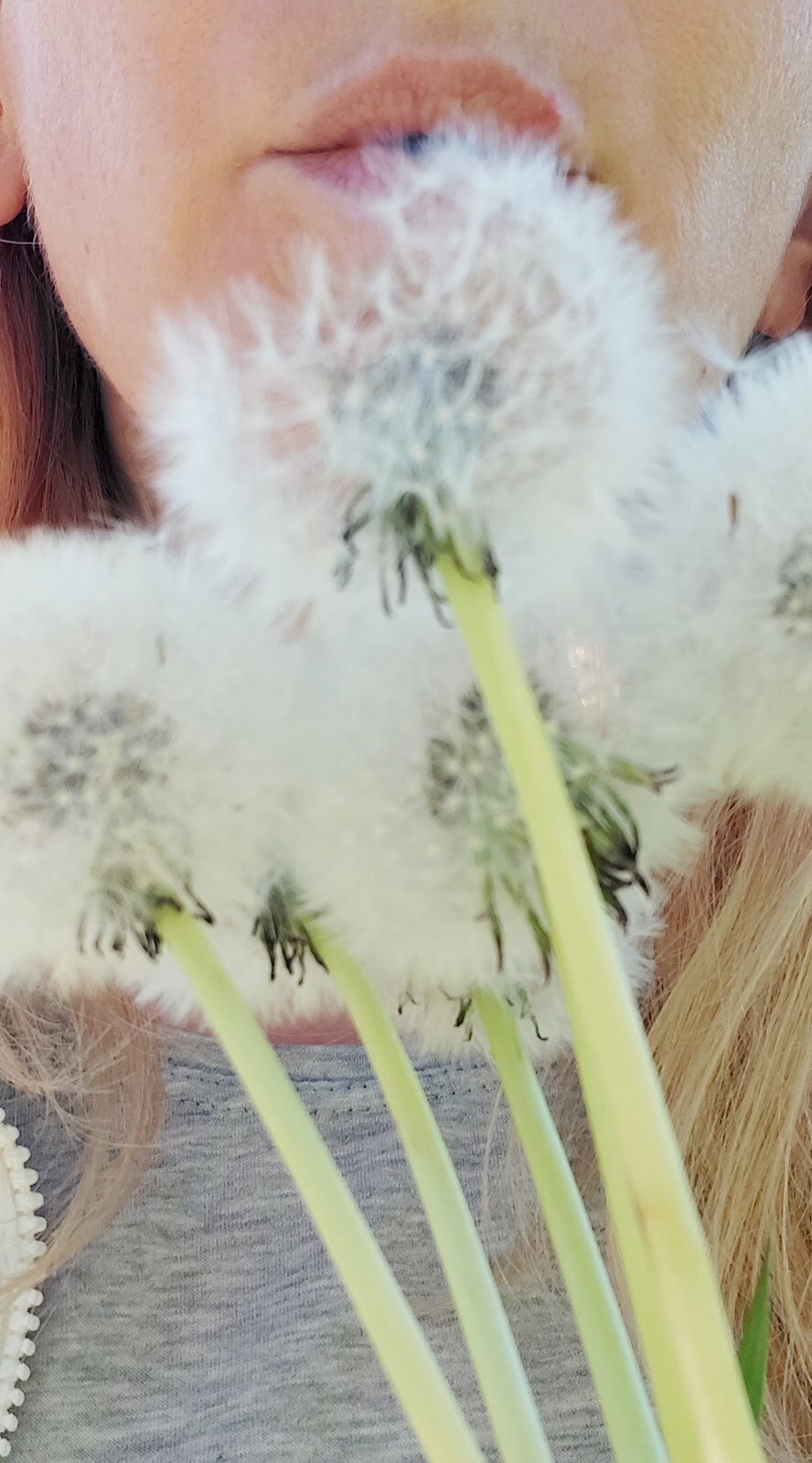 Artista XxSweety_GirlxX Foto 12