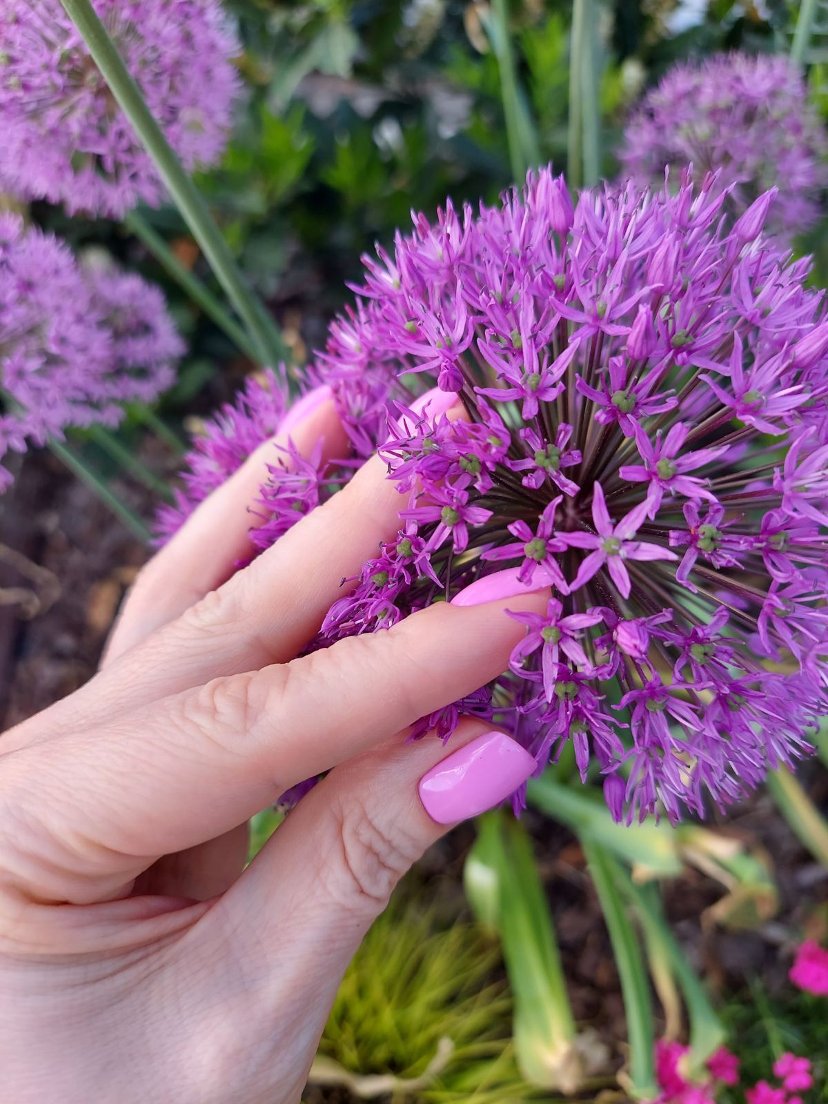 Artista XxSweety_GirlxX Foto 8