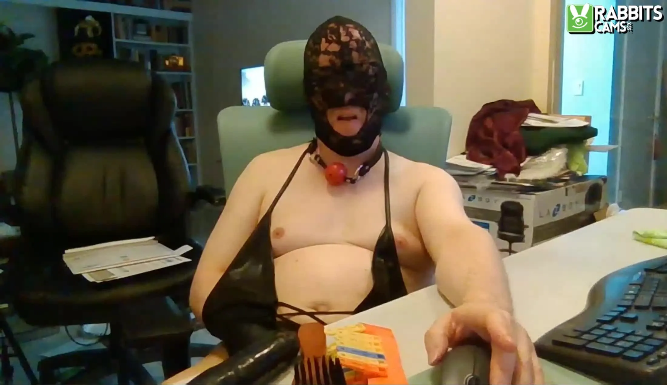 Performer WyldePet Video 1