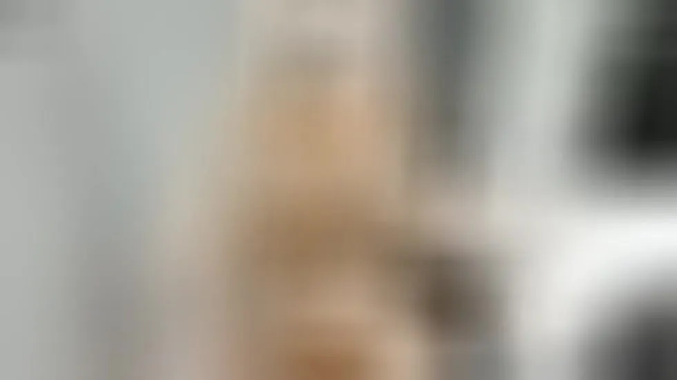 Intérprete Brickbabe Video 2