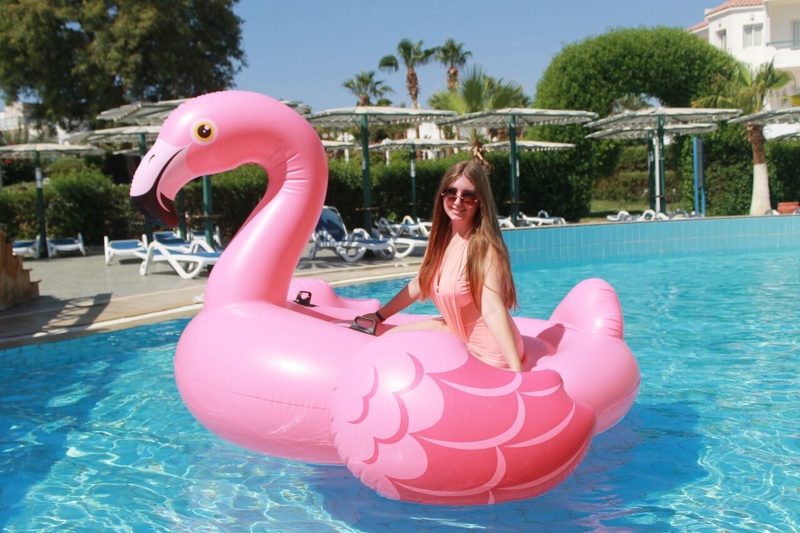 Interprete EffectMerili Foto 5