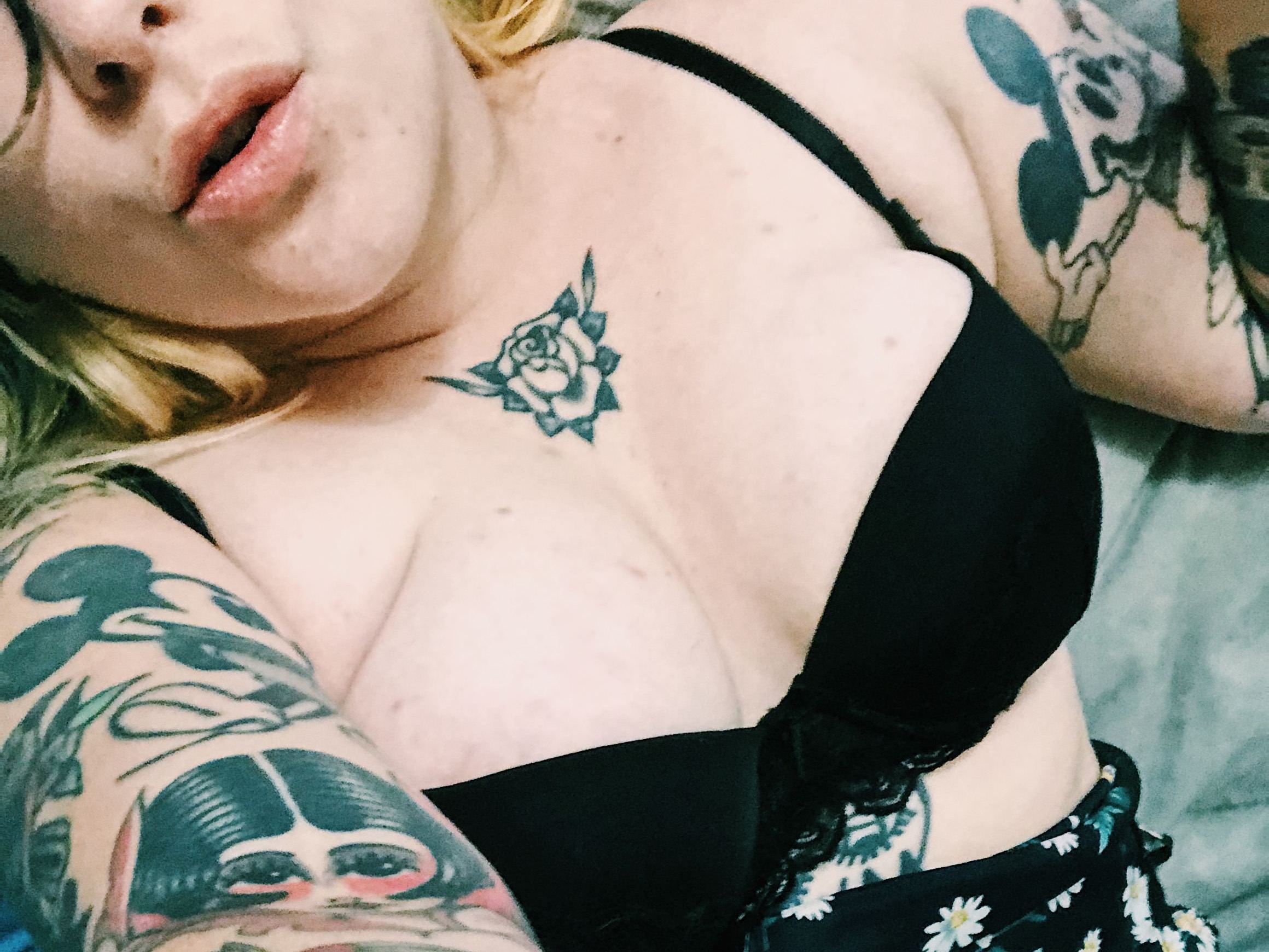 PoppyLavender Profilbild des Cam-Modells 