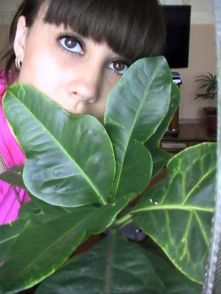 Interprete KiraDreams Foto 3