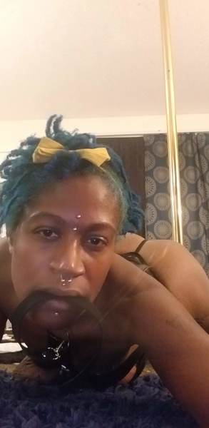 Interprete Minnysotawinter500 Foto 3