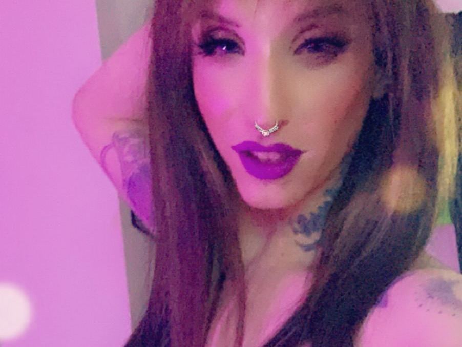 Nikitatheestalli profielfoto van cam model 