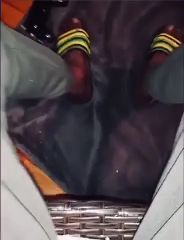Utøver ChocolateSmoke Video 2