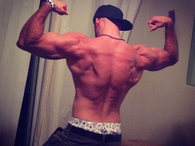 D13Z31 cam model profile picture 