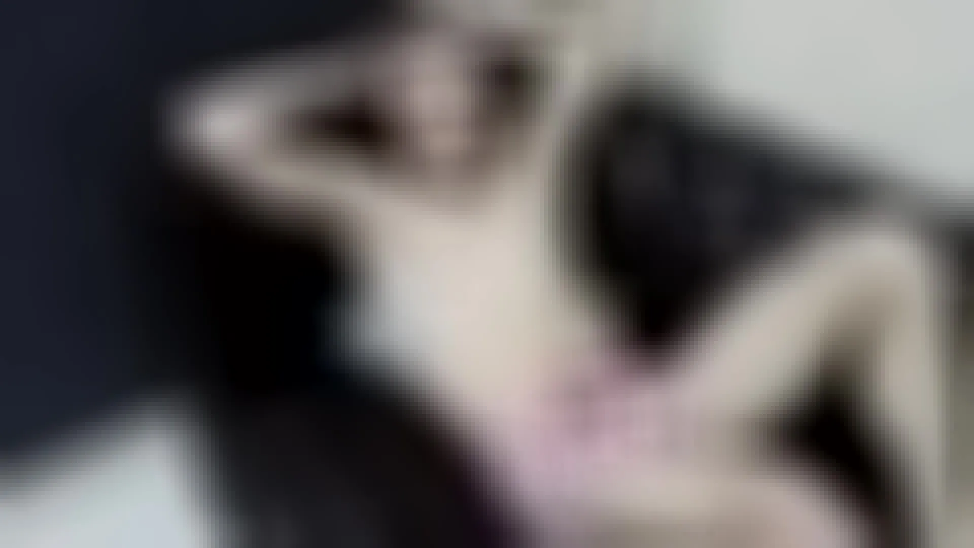 Artiest CalebSweet Video 1