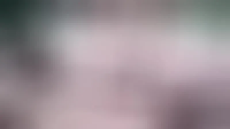 Intérprete BellaBelly Video 1