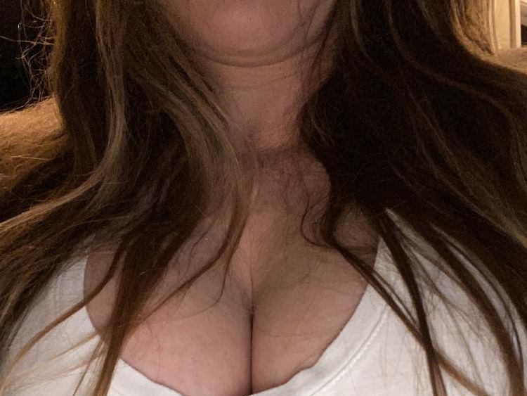 Teachplease Profilbild des Cam-Modells 