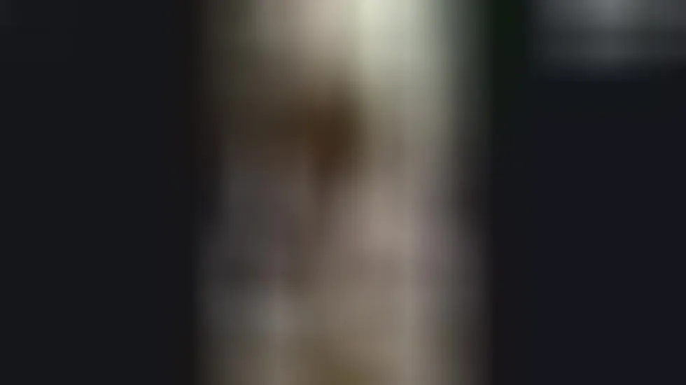 Darsteller Samsing Video 4