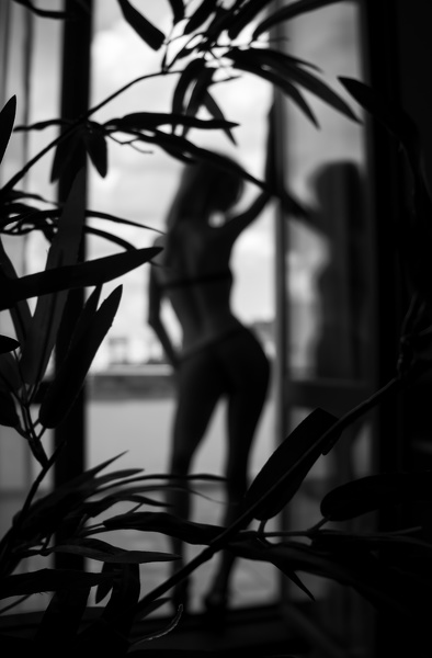 Artista shaunahilton Foto 1