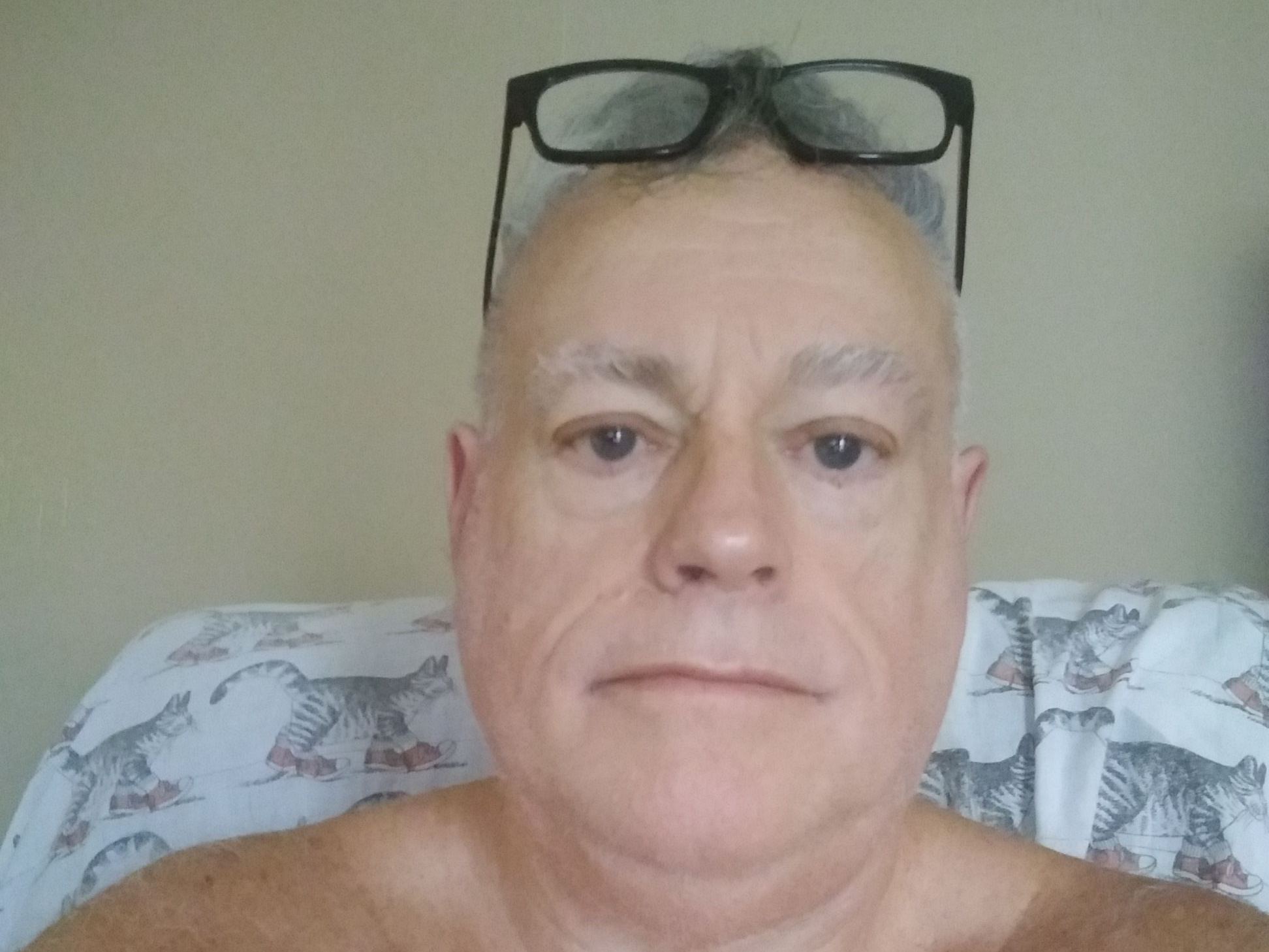 Foto de perfil de modelo de webcam de gerrygay 