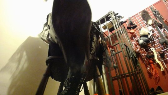 Performer MistressJulia Photo 2