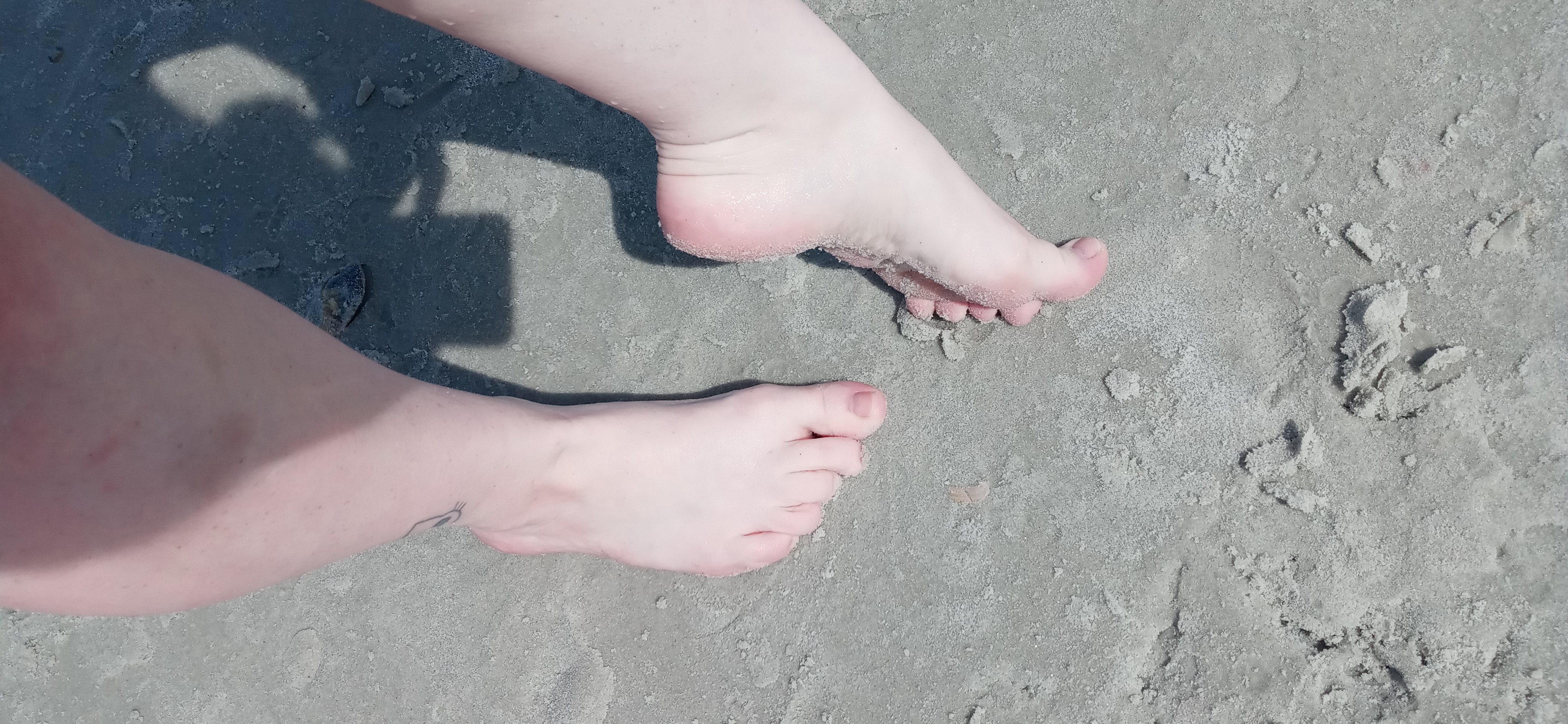 Darsteller Amy_Quinn Foto 12