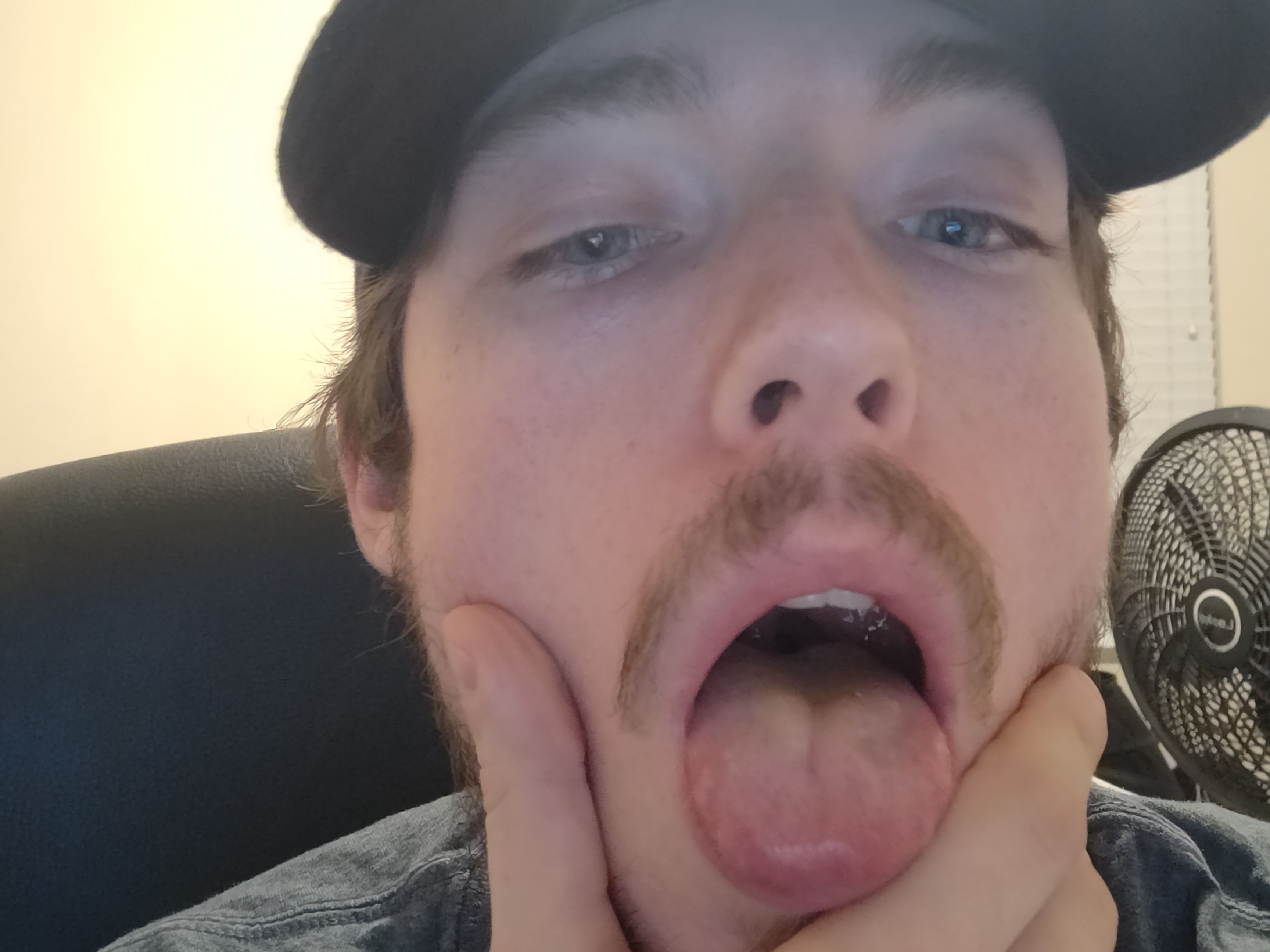 Image de profil du modèle de webcam StraightCapping