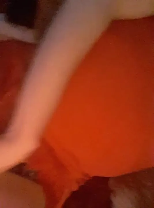 Performer Maxi_Jae Video 1