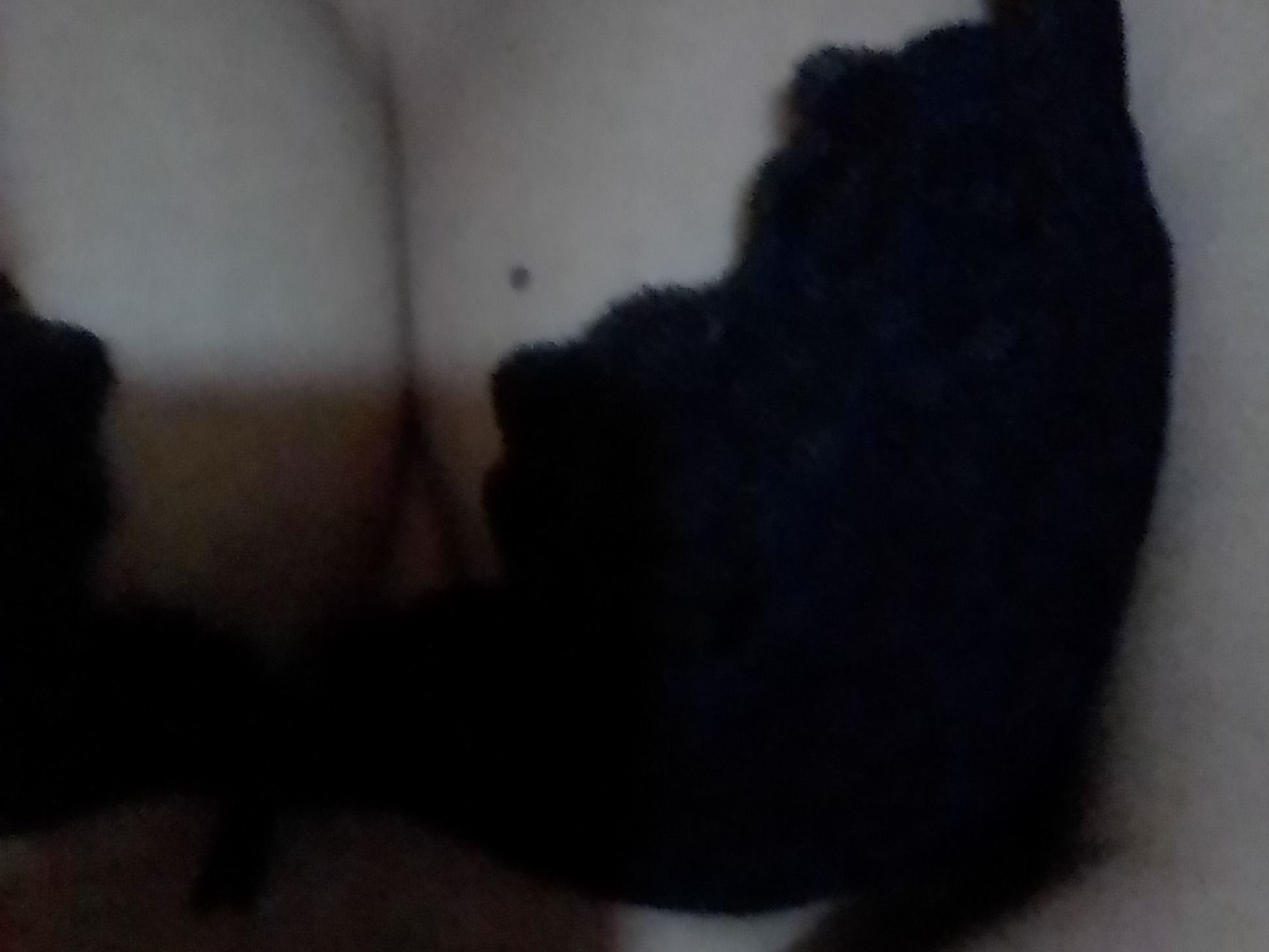 Valenthinna Profilbild des Cam-Modells 