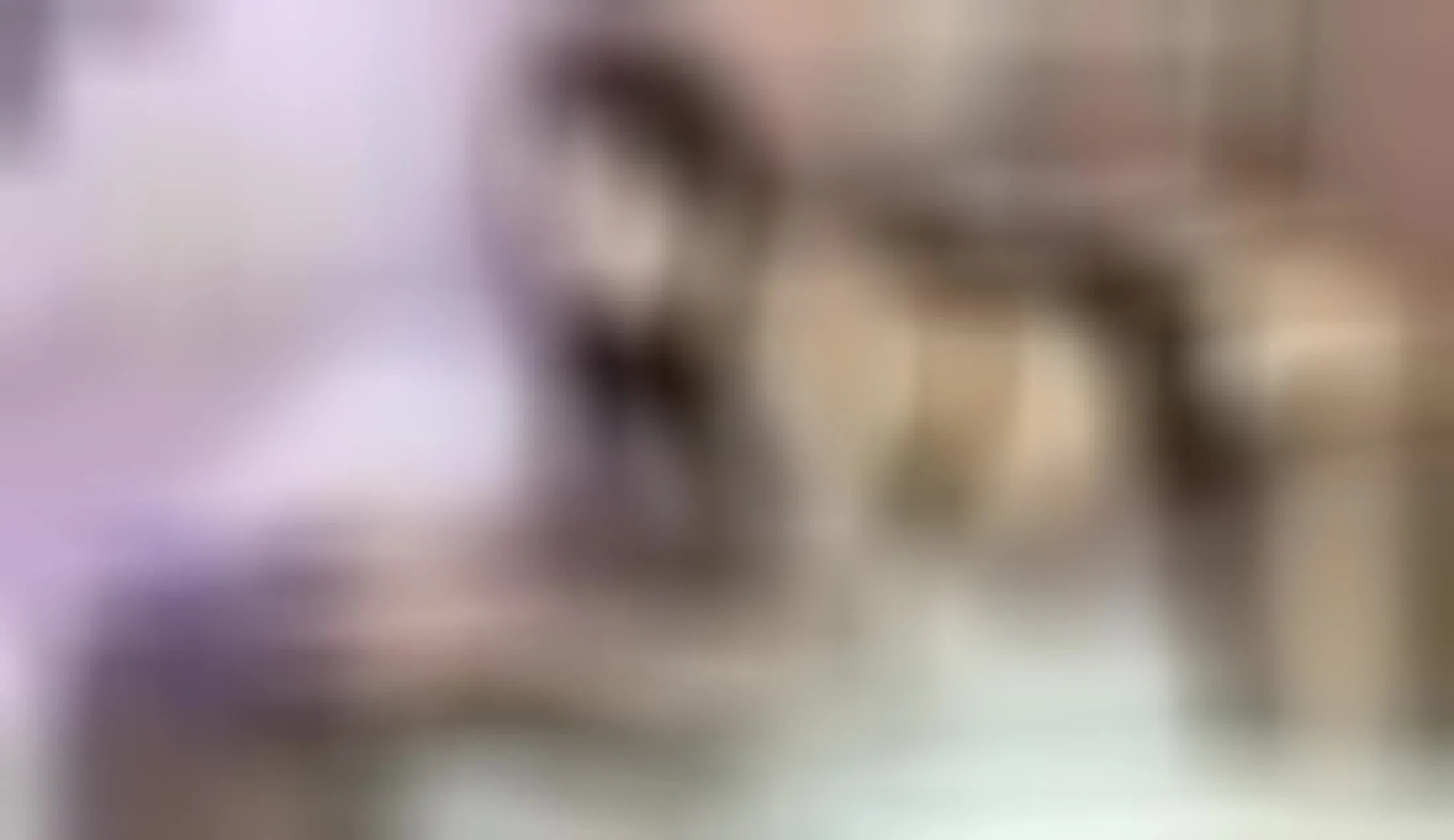 Interprete DannaCurly Video 1