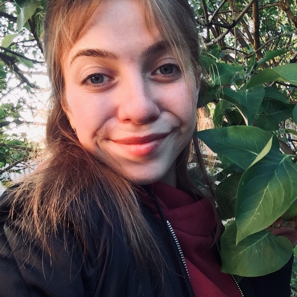 Interprète WindStari Photo 5