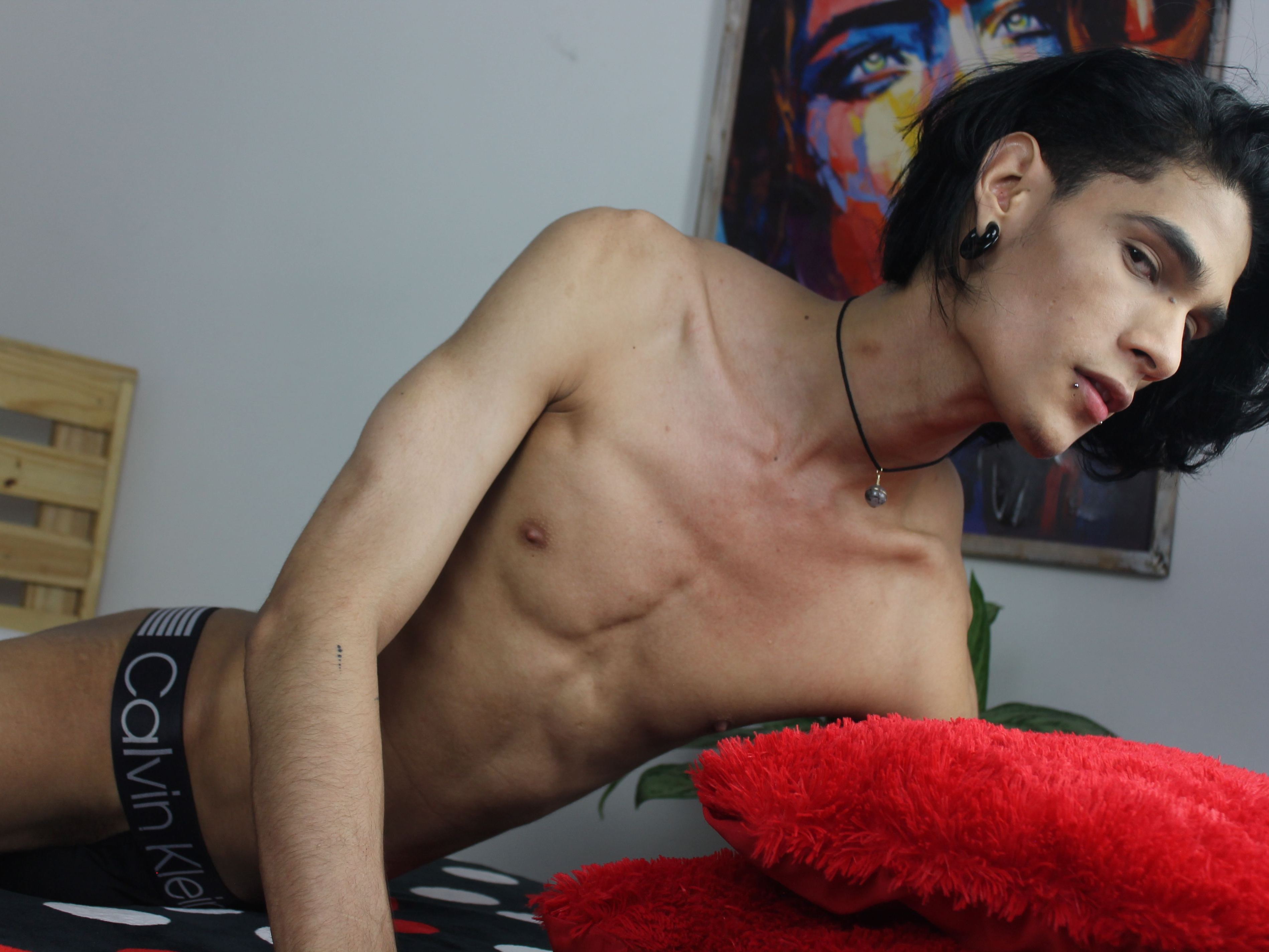 Image de profil du modèle de webcam seangrey