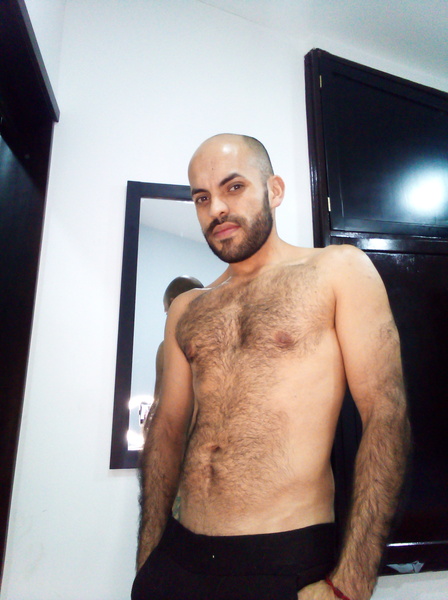 Interprete latinbear1231 Foto 3