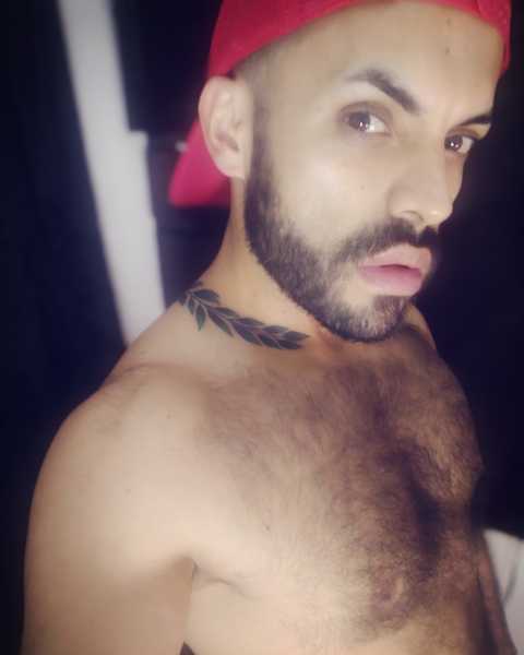Interprete latinbear1231 Foto 1