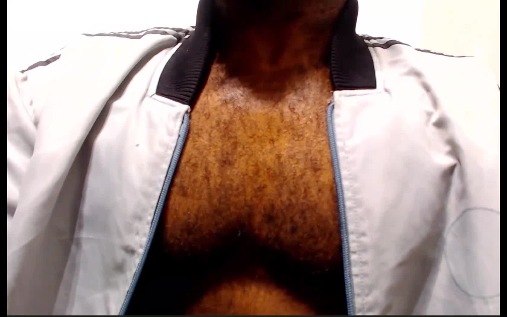 Artista AnacondaExpress Video 2