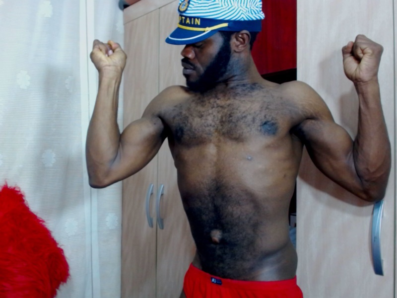 Intérprete AnacondaExpress Foto 6