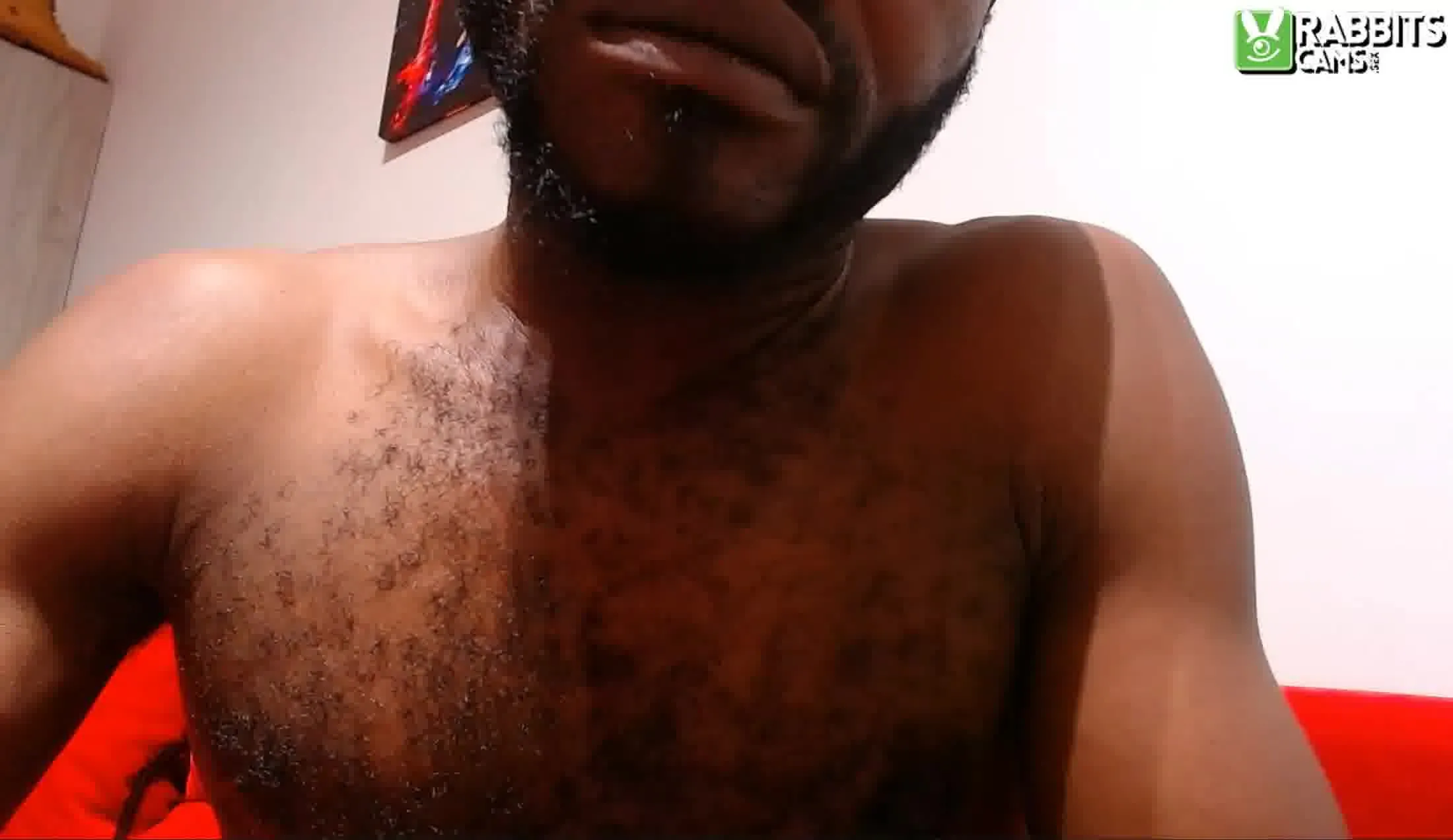 Artist AnacondaExpress Video 2