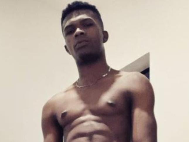 Image de profil du modèle de webcam brandomlewis