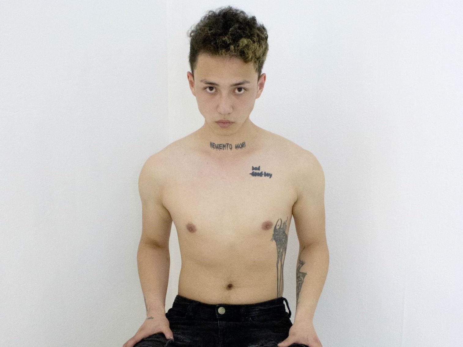 Foto de perfil de modelo de webcam de TrapSempa 