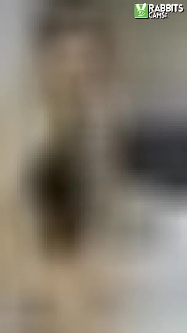 Interprete ChablissHeart Video 3