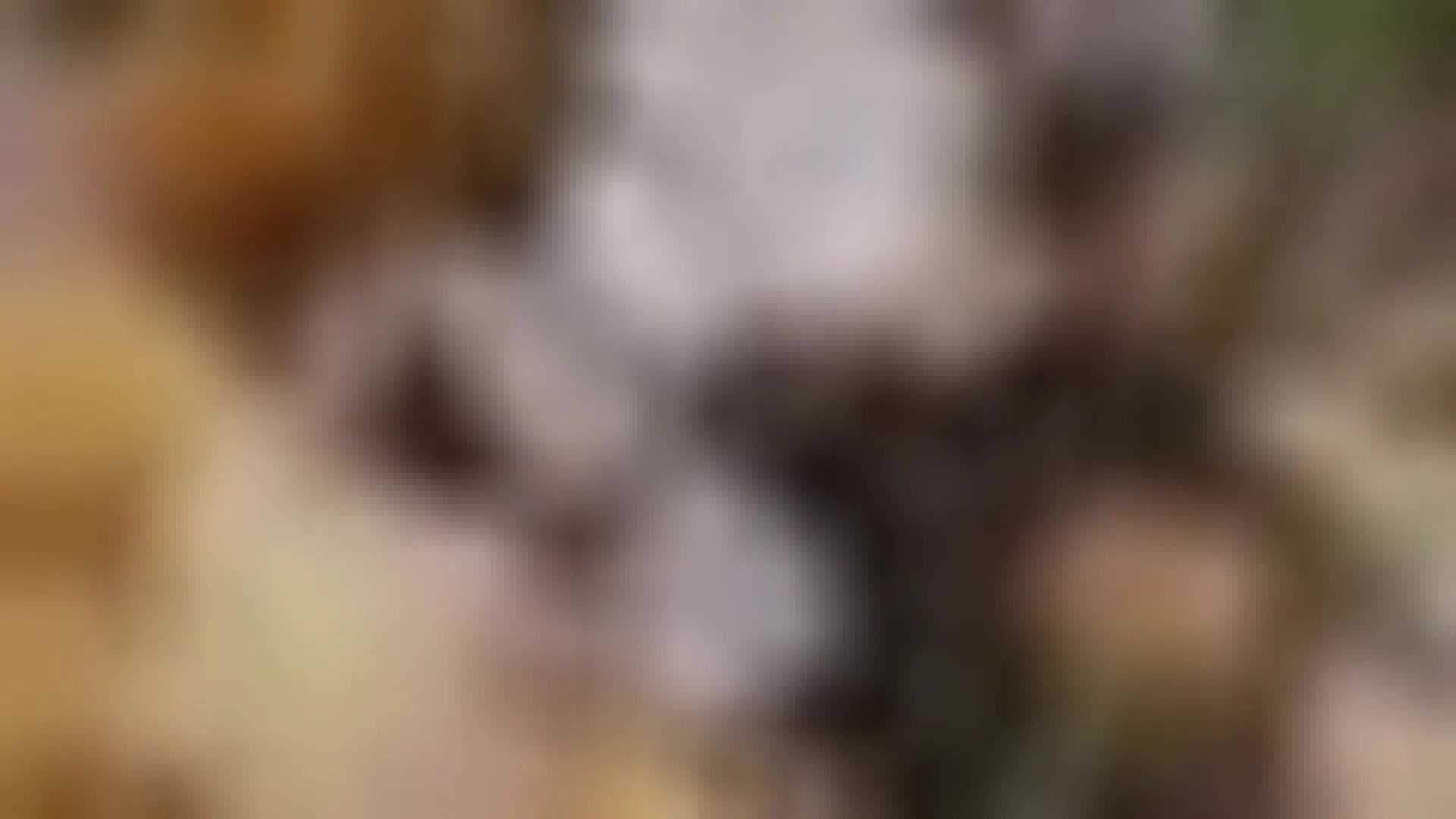 Interprète LisaRelin Vidéo 1