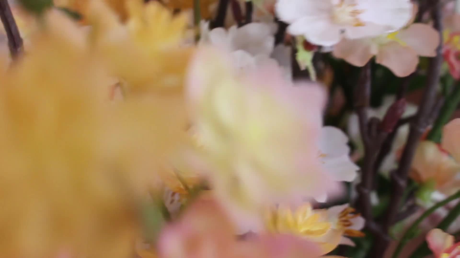 Artista LisaRelin Video 1